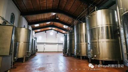 安達盧西亞的陽光與瓊漿 盛夏西班牙南部的熱情與酒香之旅